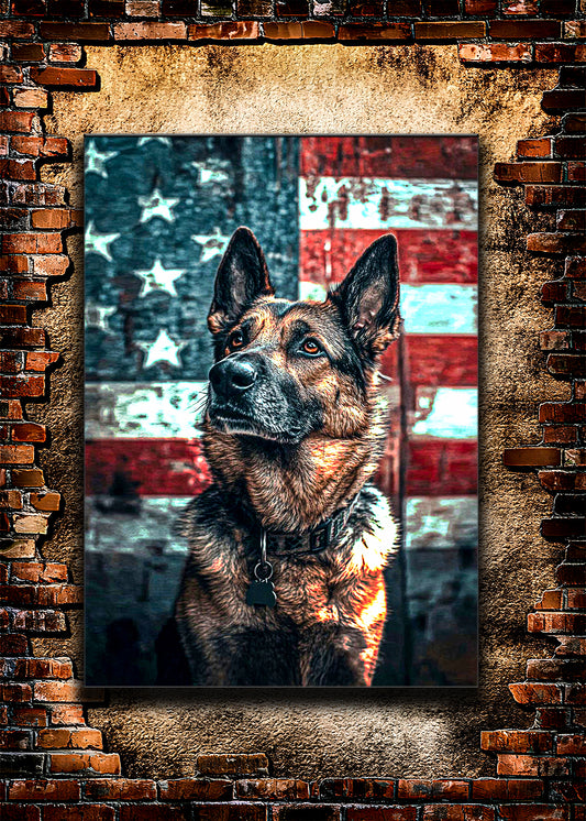Usa K9