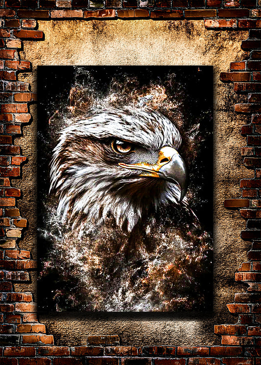 Hawk2