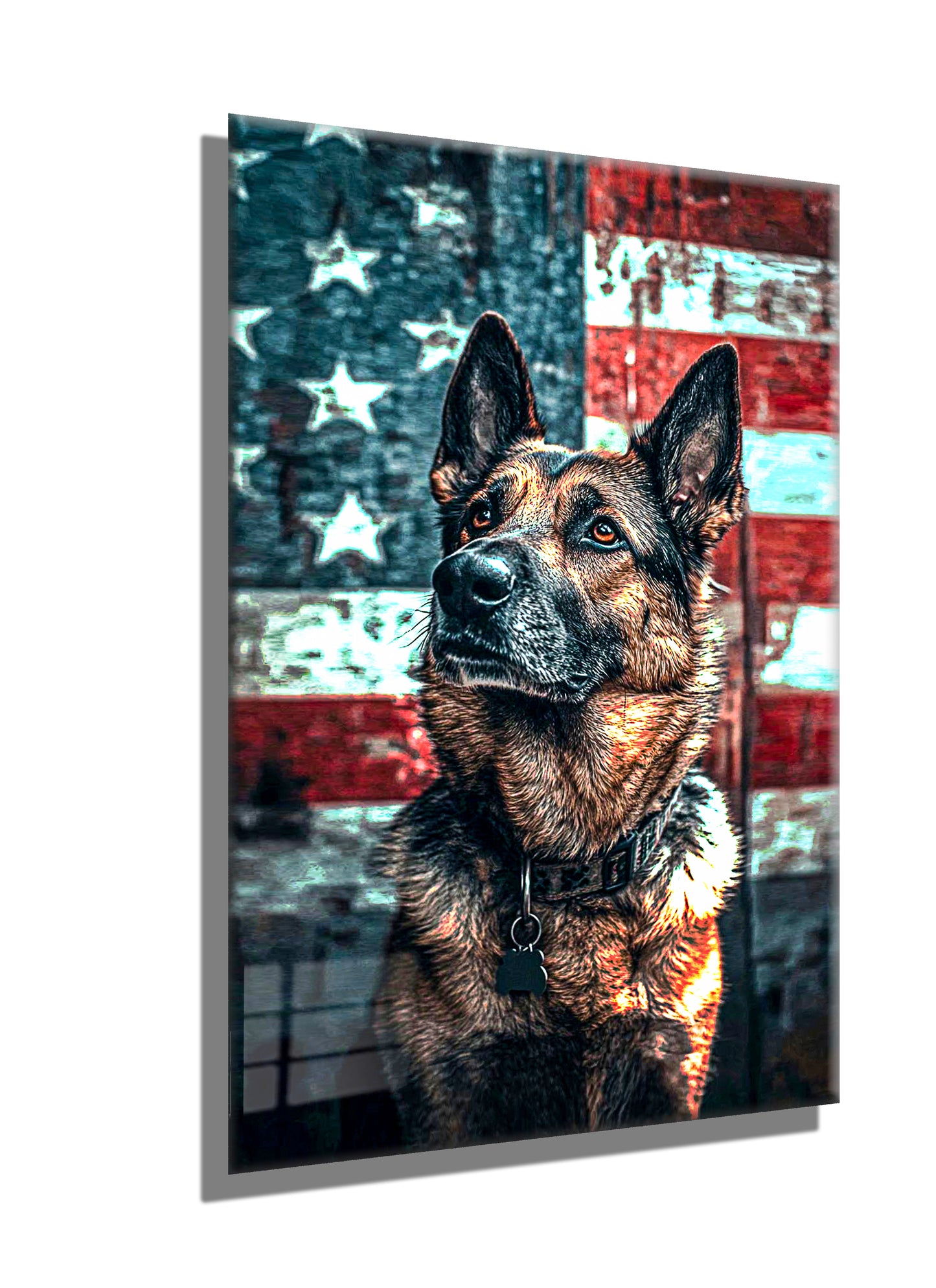 Usa K9