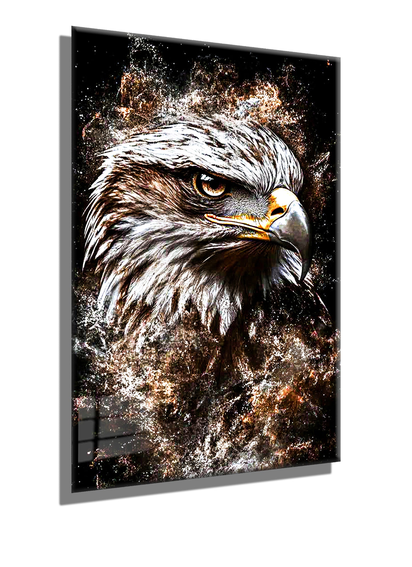 Hawk2