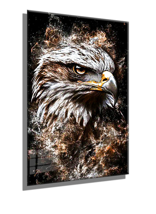 Hawk2