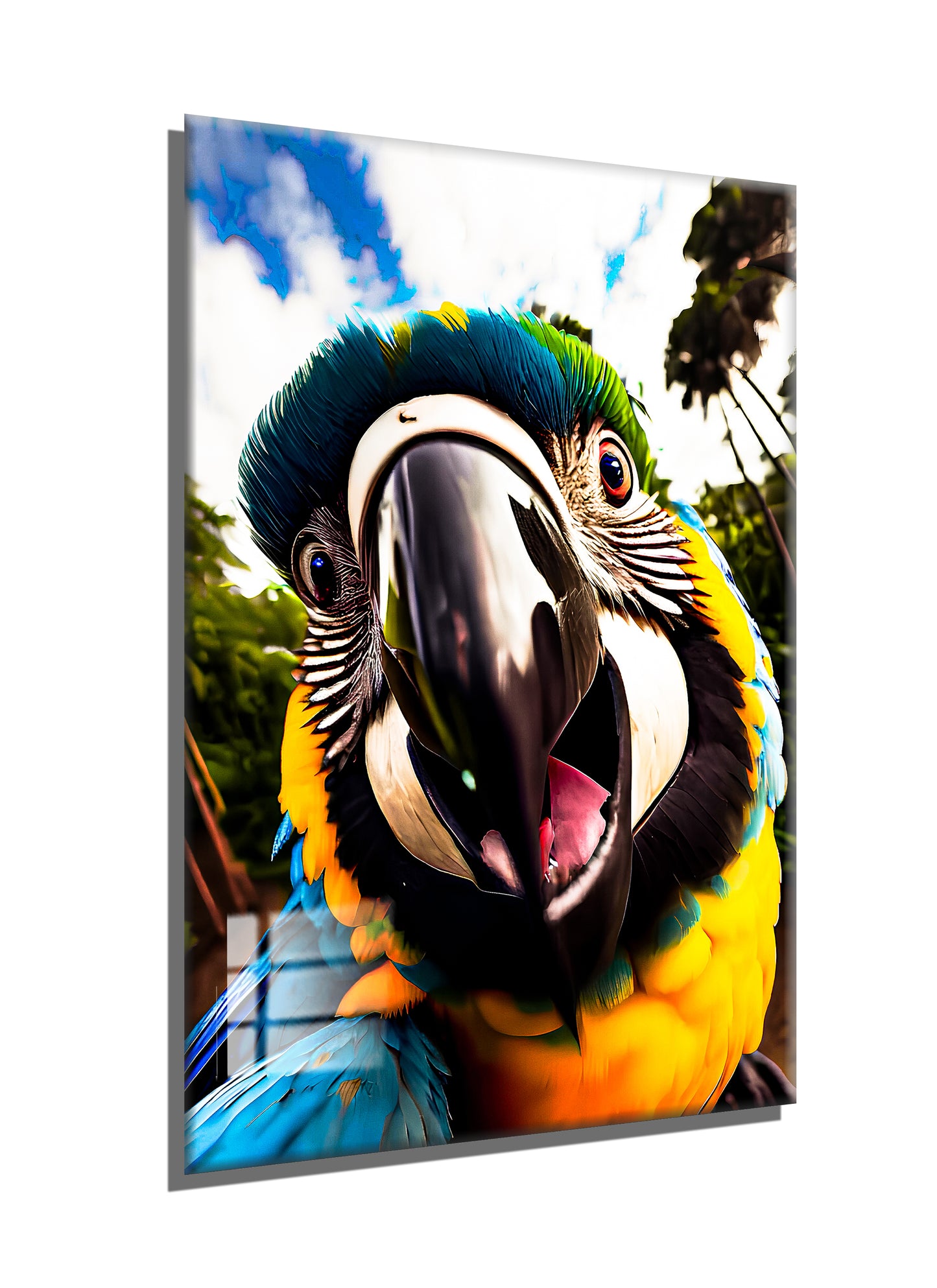 PARROT 1