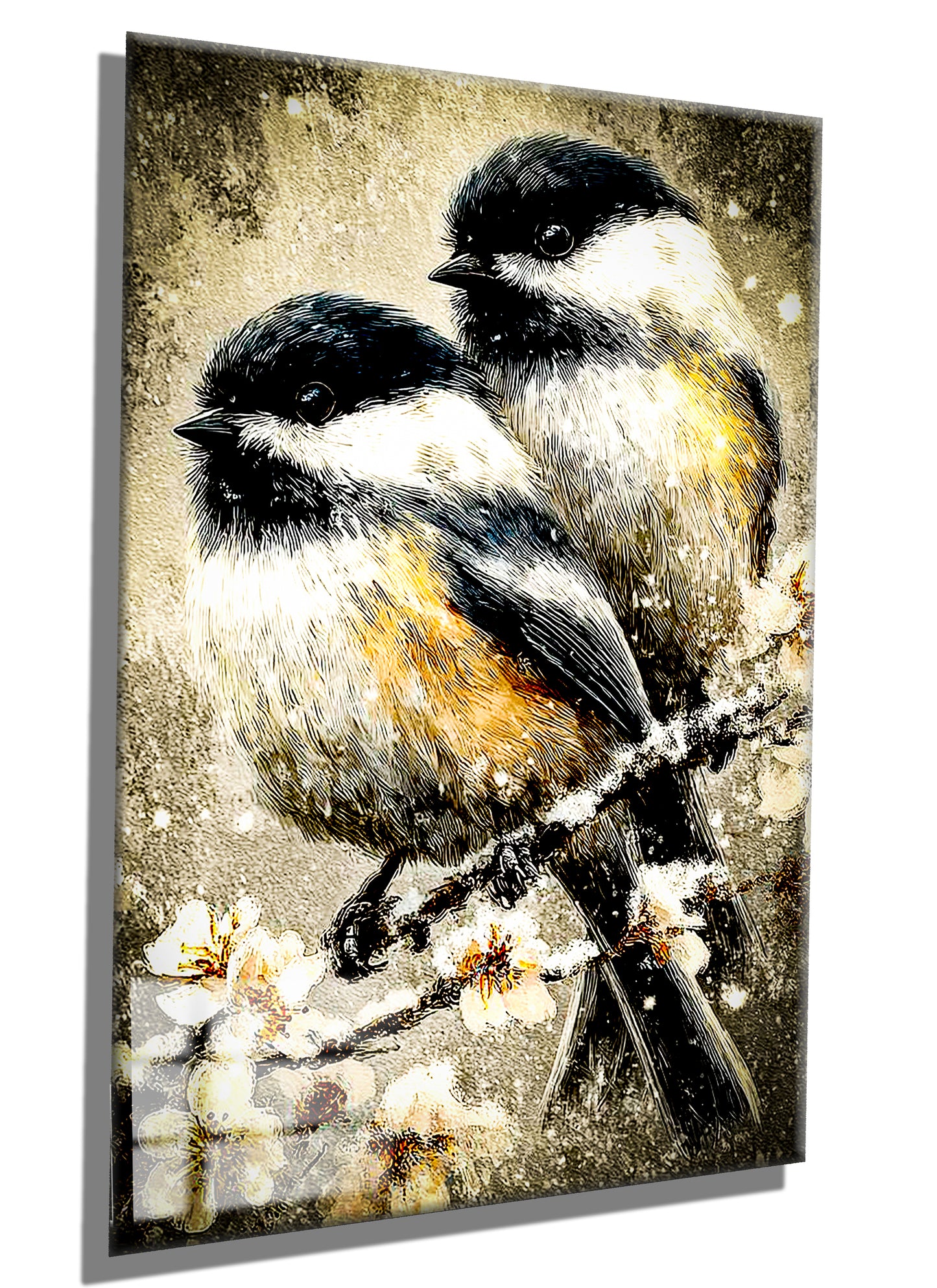 Coal tit